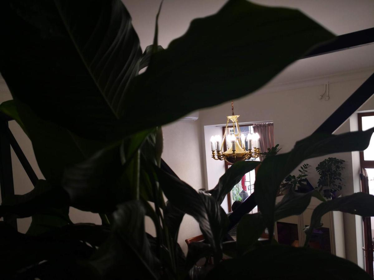 Затишні Апартаменти, Вулиця Дерибасівська, 13 敖德萨 外观 照片